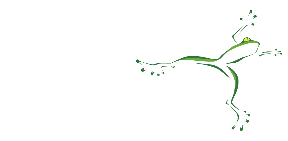 Audiofrog-white